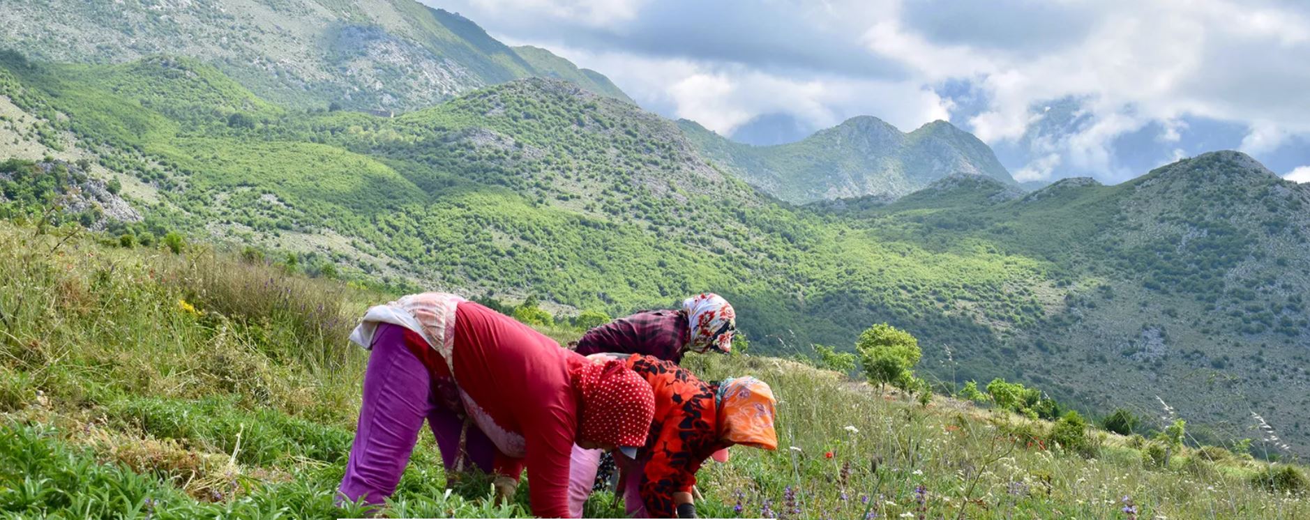 BBC: Malet e Shqipërisë që na ruajnë rininë