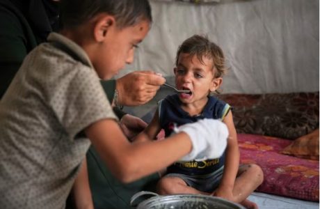 14 mijë foshnje mund të vdesin urie në Gaza në 48 orët e ardhshme, ngre alarmin OKB