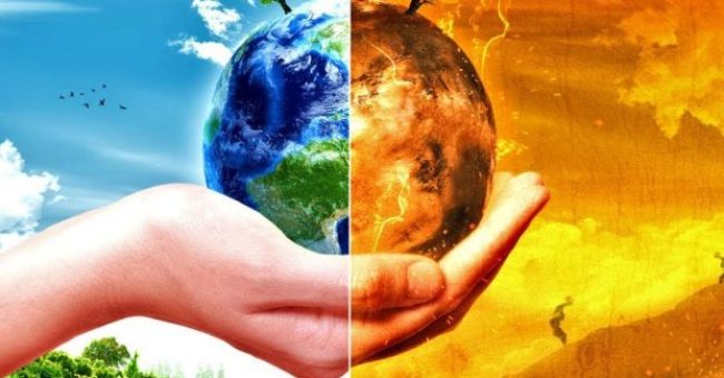Ngrohja globale dhe braktisja e tokave po varfërojnë gjenetikisht bimët malore