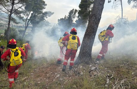 Vihet nën kontroll zjarri në malin e Krastës