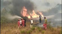 Vijon lufta me zjarret në Shqipëri, 20 vatra gjatë ditës