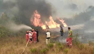 Vijon lufta me zjarret në Shqipëri, 20 vatra gjatë ditës