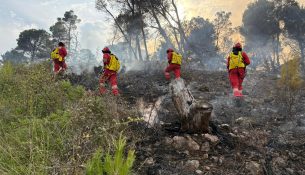 Situata e zjarreve: 20 vatra të shuara dhe 4 akoma aktive