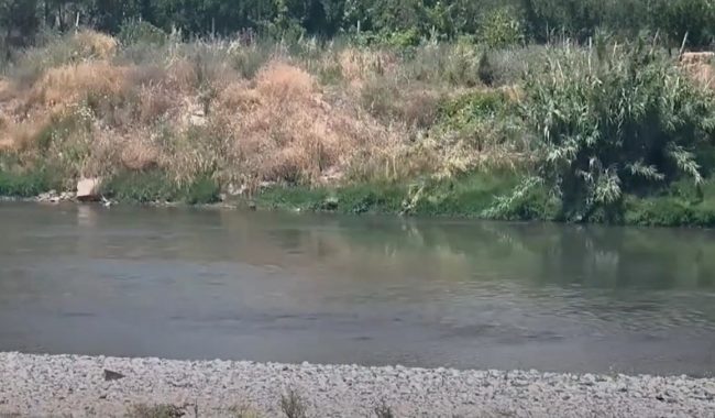 E rëndë në Elbasan: Dy vëllezër të mitur mbyten në lumin Shkumbin