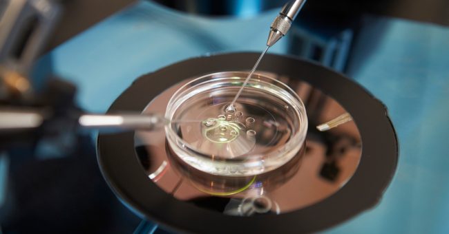 Foshnjat e modifikuara gjenetikisht janë më afër realitetit, por rriten dilemat etike