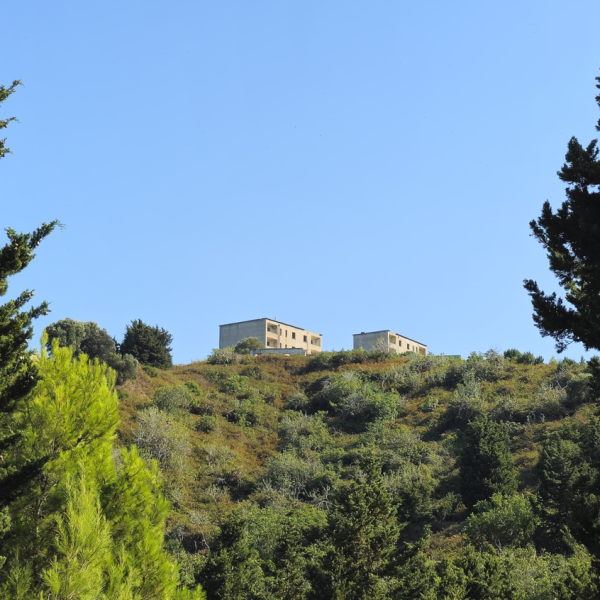 Sazani që s’flet, por rrëfen gjithçka