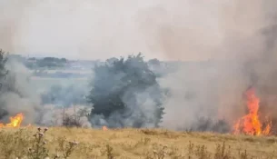 36 vatra zjarri në Kosovë, katër ende aktive