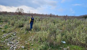 Projektligji depozitohet në Kuvend, lejimi i gjuetisë vetëm në zona të miratuara