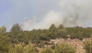 Përfshihet nga flakët zona e Krastës në Krujë