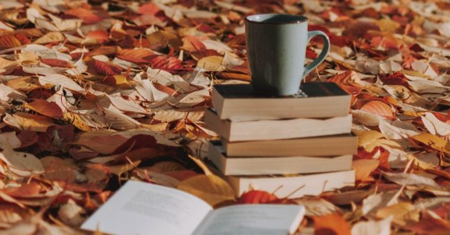 Librat që vlejnë të lexohen këtë vjeshtë
