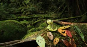 Peizazhet japoneze që frymëzuan filmat e Studio Ghibli