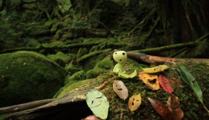 Peizazhet japoneze që frymëzuan filmat e Studio Ghibli