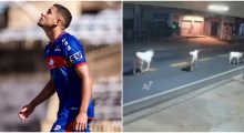 Futbollisti ndërron jetë pasi aksidentohet me lopën