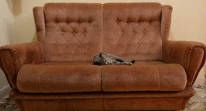 Vila 31 mbyll vitin me një sesion të ri dhe një histori transformimi