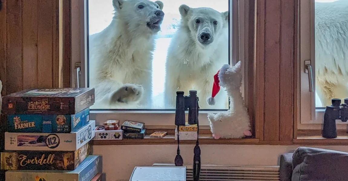 Svalbard, arkipelagu ku arinjtë polarë i kalojnë njerëzit në numër