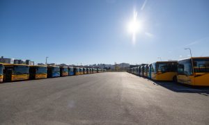 Kriza e transportit urban: Kujt i takon përgjegjësia për pagat e punonjësve?