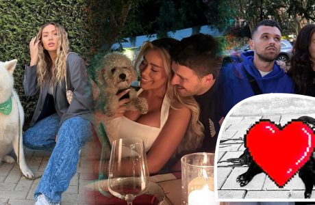 Reagime të forta në rrjete: Vrasja brutale e këlyshëve trondit Kosovën