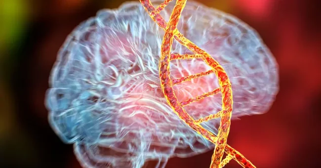 Shkencëtarët zbulojnë gjenin e parë që shkakton drejtpërdrejt çrregullime mendore