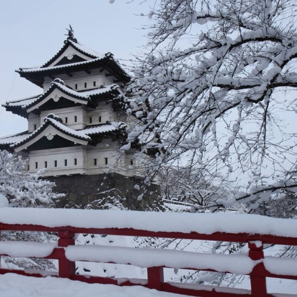 Aomori: Qyteti me reshjet më të mëdha të dëborës në botë