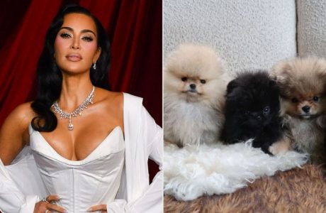 PETA sulmon Kim Kardashian për dhuratën e Krishtlindjes