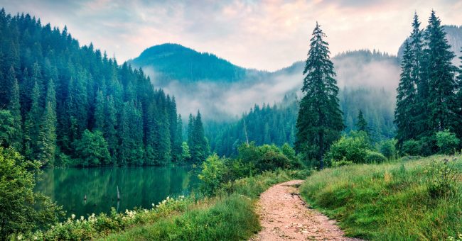 Çfarë po e nxit biofobinë te njerëzit?