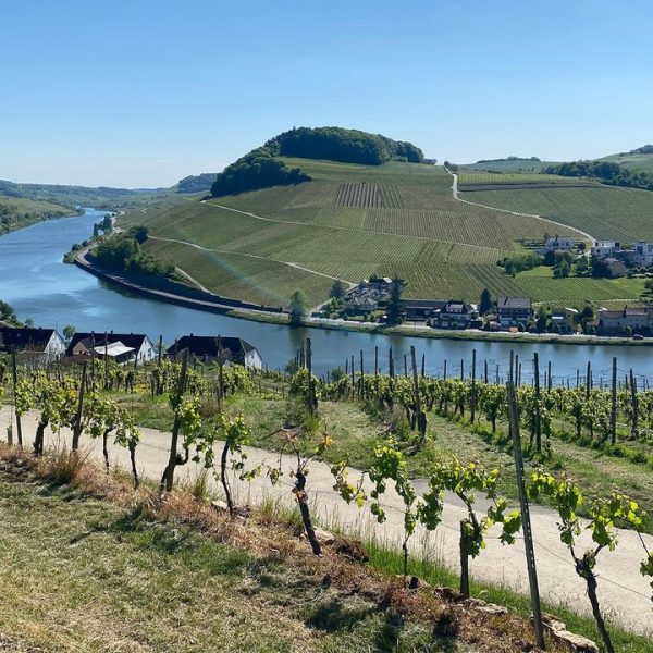 Shtegu evropian i biçikletave që përshkon tre shtete brenda një dite