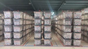 Rinumërimi vonon certifikimin e rezultatit zgjedhor