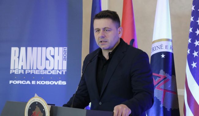 Bekë Berisha kryetar i KB Prishtinës, Plisat kundër