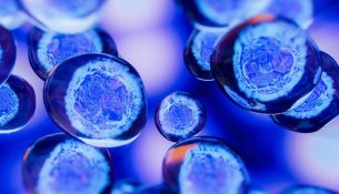 Shkencëtarët identifikojnë molekulën që ndihmon trupin të fikë inflamacionin