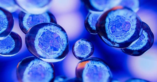 Shkencëtarët identifikojnë molekulën që ndihmon trupin të fikë inflamacionin