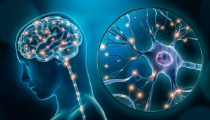 Kur nuk flini, truri përpiqet të “pastrojë” mbetjet e grumbulluara gjatë ditës