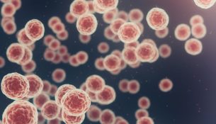 Studimi zbulon rolin e antitrupit GT103 në frenimin e kancerit të mushkërive