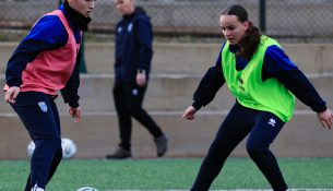 Grumbullimi i Dardaneve