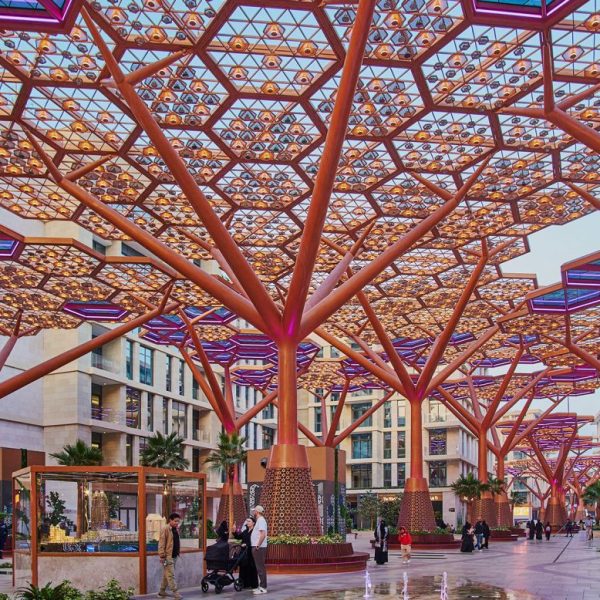 Gewan, ishulli me “pyll” të kondicionuar