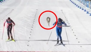 Qeni-ujk ‘garon’ në Lojërat Olimpike Dimërore