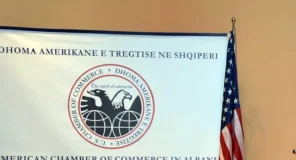 Dhoma Amerikane ngre alarmin për e-Albania