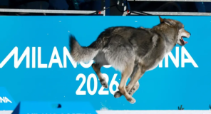 Çuditë dhe mrekullitë e Lojërat Olimpike Dimërore 2026