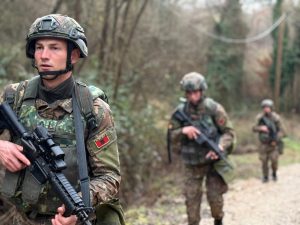 Viti 2026, kthesë strategjike e Shqipërisë në mbrojtje