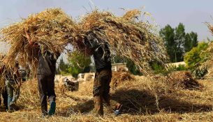 Lufta me Iranin mund të shkaktojë një krizë globale ushqimore