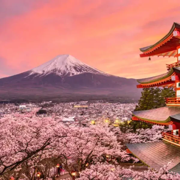 Gjëra që të gjithë vizitorët në Japoni duhet t’i dinë