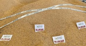 24 tonë misër nga Serbia me përmbajtje mbi normë të alfatoksinës B1 në Shkodër