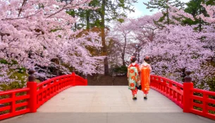 Kur dhe ku të shihni lulet tradicionale japoneze?