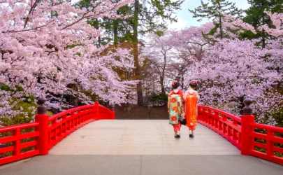 Kur dhe ku të shihni lulet tradicionale japoneze?