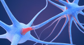 Studimi i ri zbulon “gjurmën nervore” që lënë drogat psikedelike në trurin e njeriut