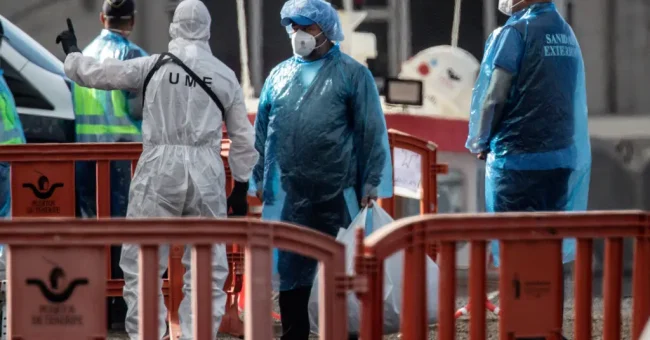 Një vaksinë e re kundër hantavirusit është në zhvillim