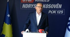 Hamza: Kosova në krizë, përgjegjësinë e mban Albin Kurti