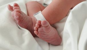 Rritet numri i lindjeve në Kosovë gjatë muajit qershor