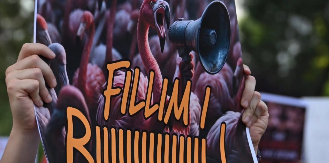 Revolta e Flamingove