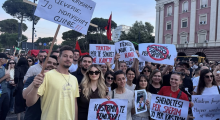 Kur flamingot marshojnë dhe konservatorët bëjnë autostop