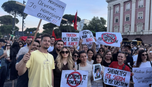 Kur flamingot marshojnë dhe konservatorët bëjnë autostop